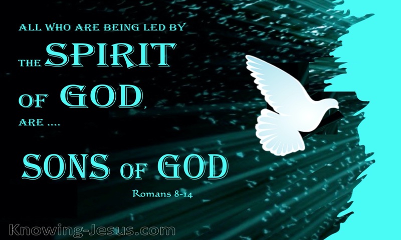 Romans 8:14 Those Led By The Spirit Are Sons Of God (white)